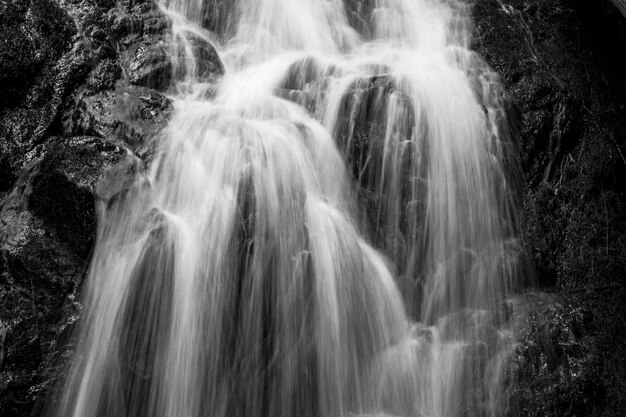 Vista panorámica de una cascada en el bosque