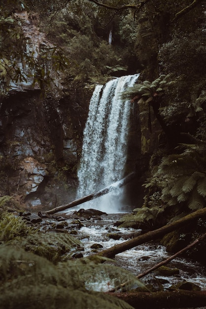 Vista panorámica de una cascada en el bosque