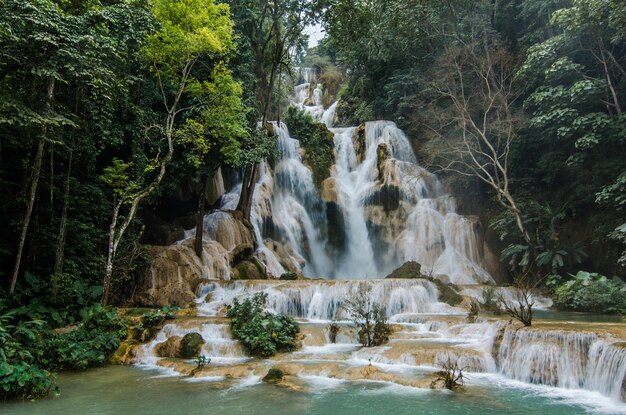 Foto vista panorámica de una cascada en el bosque