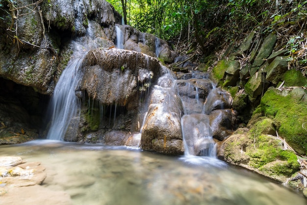 Vista panorámica de una cascada en el bosque