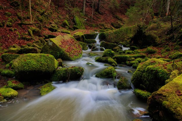 Foto vista panorámica de una cascada en el bosque