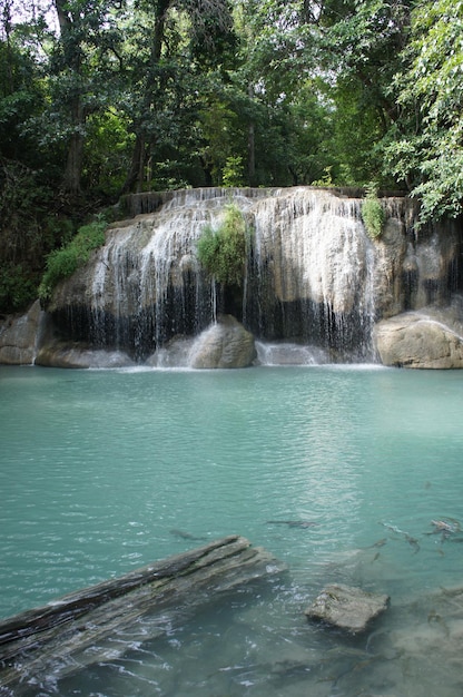 Vista panorámica de la cascada contra los árboles