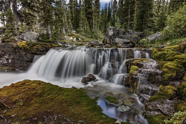 Vista panorámica de la cascada en el parque nacional de Banff