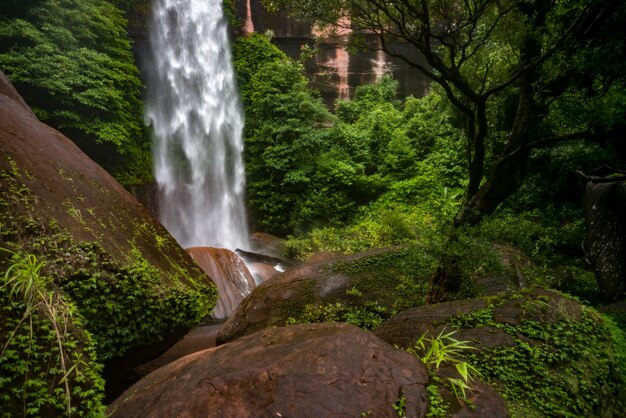 Vista panorámica de la cascada