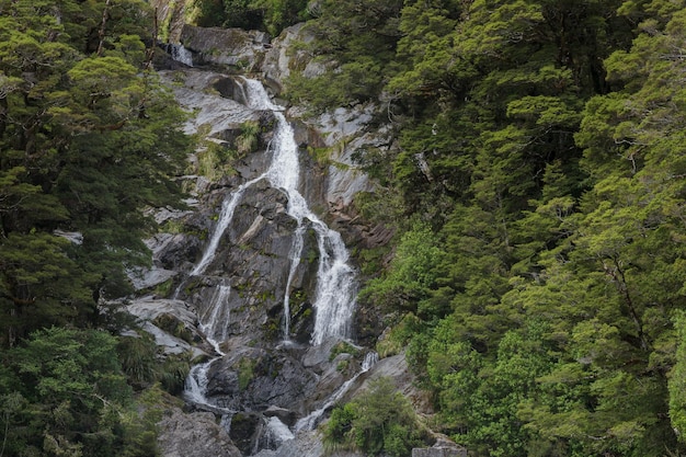 Vista panorámica de las cataratas Fantail Falls en Nueva Zelanda