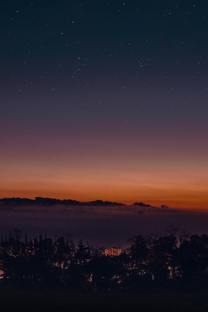 Vista panorámica del cielo por la noche