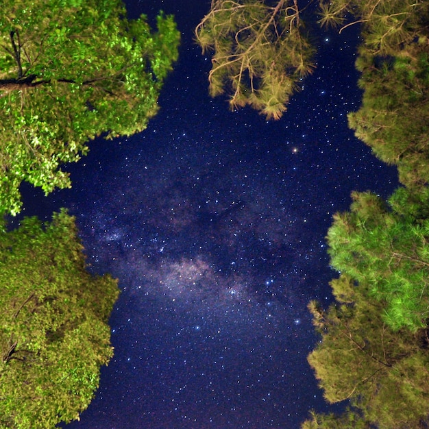 Vista panorámica del cielo nocturno