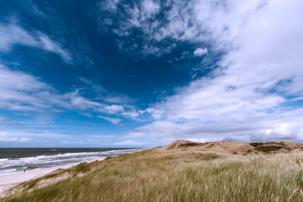 Vista panorámica del cielo sobre el mar y el campo