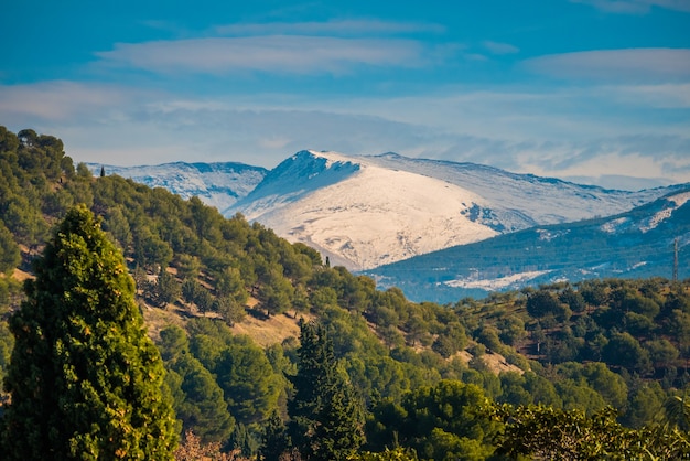 Vista panorámica de la ciudad de Granada con Sierra Nevada de fondo