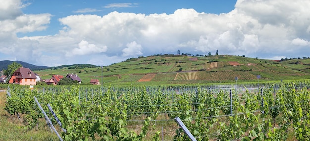 Vista panorámica de la ciudad de Kaysersberg