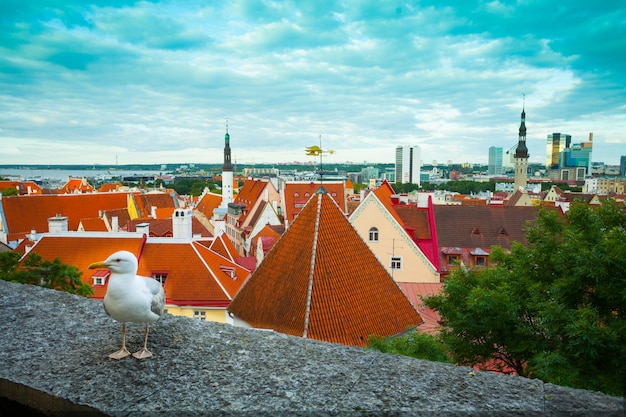 Vista panorámica de la ciudad vieja de Tallin Estonia