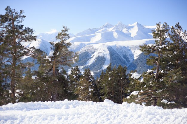 Foto vista panorámica del complejo deportivo para vacaciones de invierno.