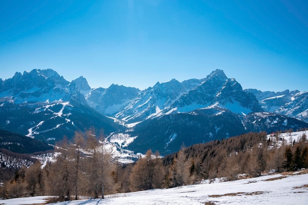 Vista panorámica de la cordillera cubierta de nieve y el bosque contra el cielo azul claro