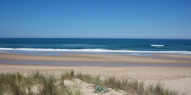 Vista panorámica de la costa y la playa con cielo azul