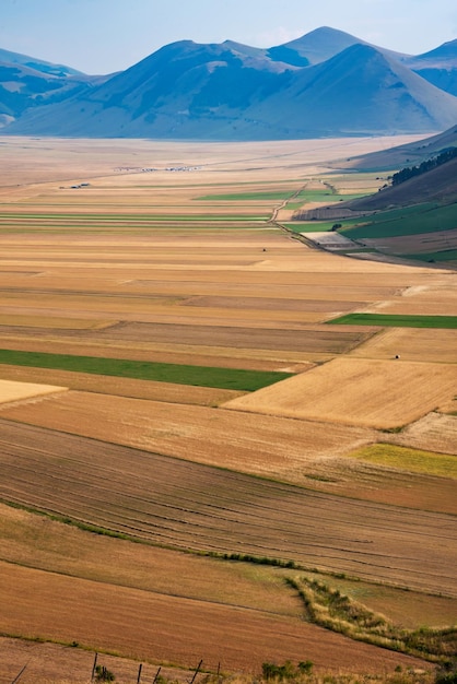 Vista panorâmica da agricultura e dos campos agrícolas