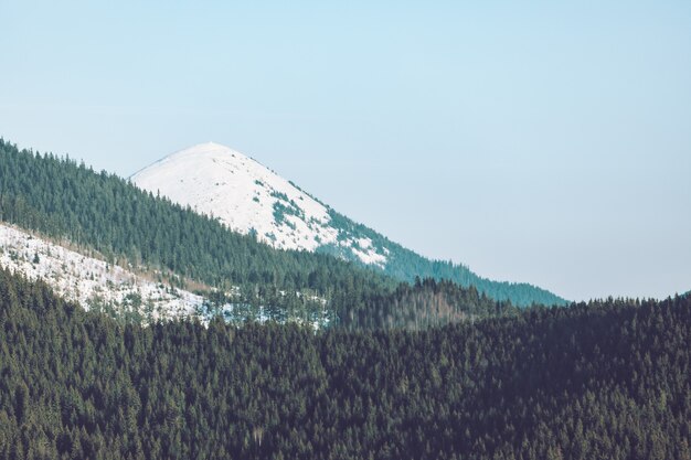 Vista panorâmica da beleza das montanhas nevadas de inverno na natureza. copie o espaço