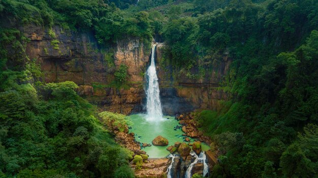 Vista panorâmica da cachoeira na floresta