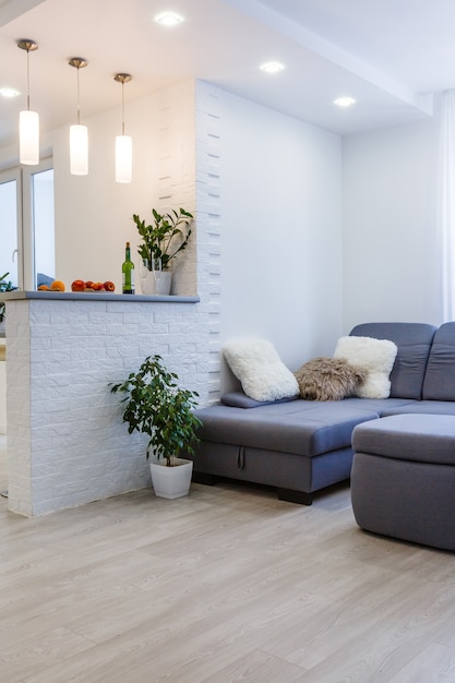 Vista panorâmica da cozinha compacta para a sala de estar aberta em apartamento de design moderno