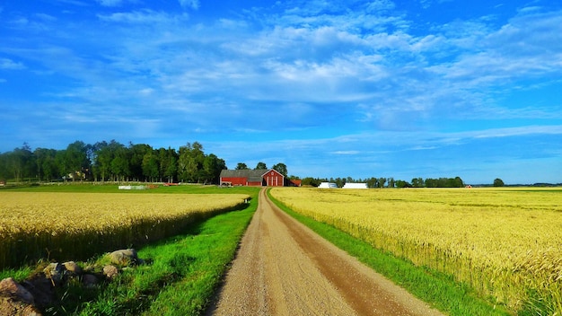 Vista panorâmica da estrada de campo que leva à casa contra o céu nublado