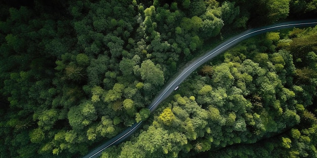Vista panorâmica da estrada no meio da floresta Vista aérea Tiro panorâmico Generative AI