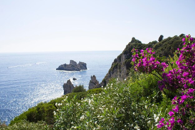 Vista panorâmica da ilha, do mar e da flor rosa bughienvilliia no dia ensolarado. corfu. grécia.