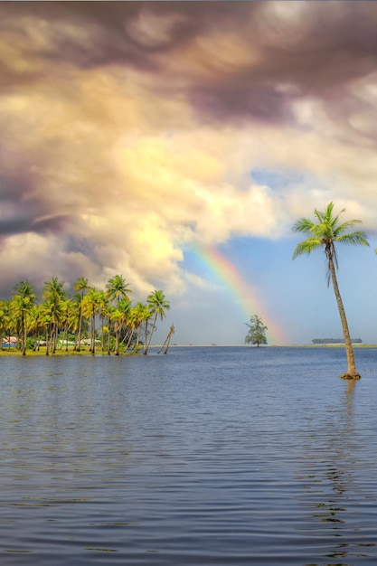 Vista panorâmica da ilha tropical com coqueiros e lindo céu pôr do sol