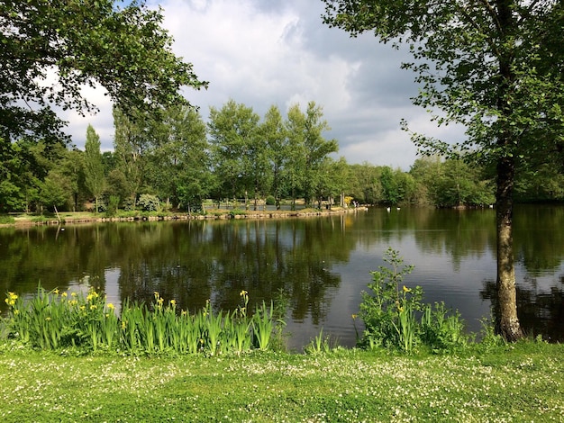 Vista panorâmica da lagoa no parque