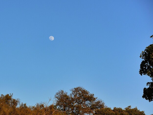 Vista panorâmica da lua no céu azul claro