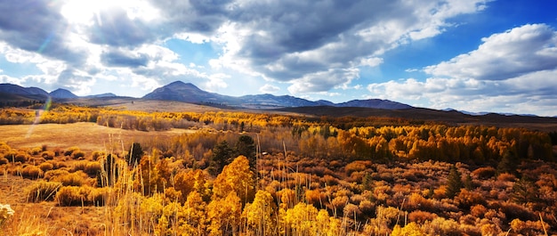 Vista panorâmica da montanha de Sierra Nevada. paisagem de folhagem de outono. Califórnia, EUA.