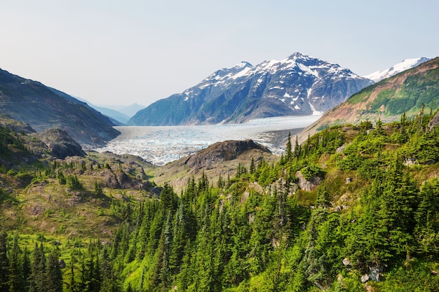 Vista panorâmica da montanha nas Montanhas Rochosas canadenses