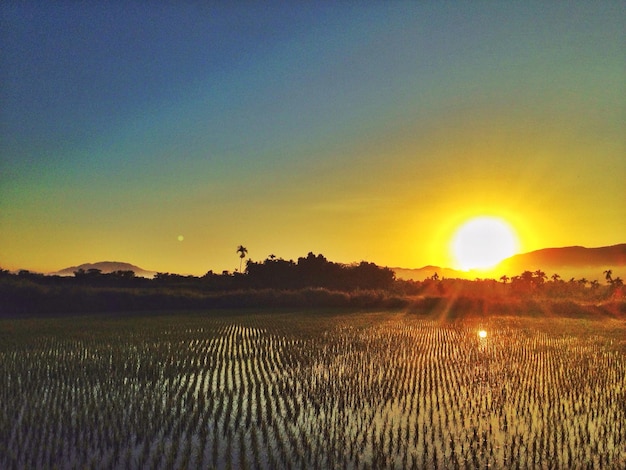 Foto vista panorâmica da paisagem ao pôr-do-sol