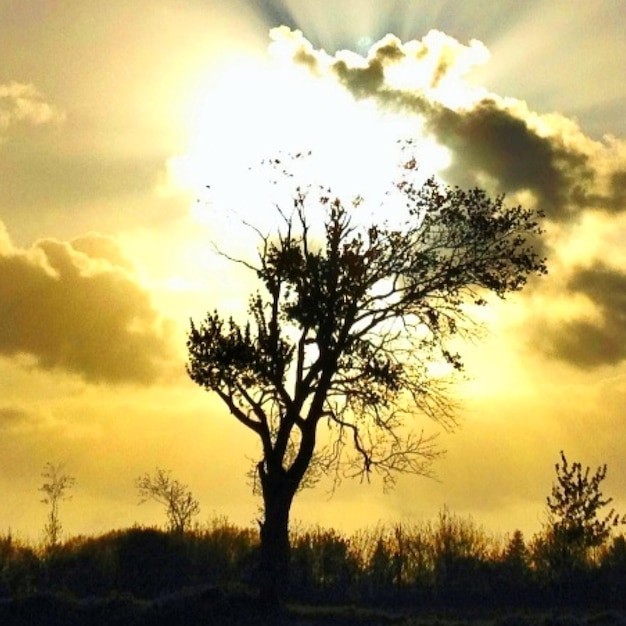 Foto vista panorâmica da paisagem contra o céu ao pôr-do-sol