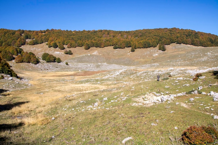 Foto vista panorâmica da paisagem contra o céu azul claro