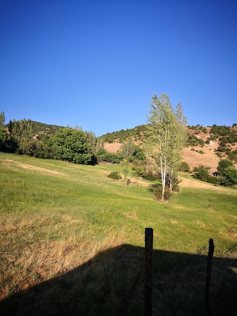 Foto vista panorâmica da paisagem contra o céu azul claro