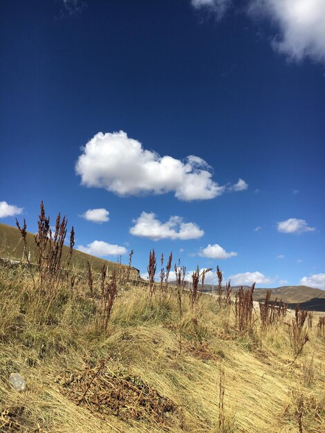 Vista panorâmica da paisagem contra o céu azul