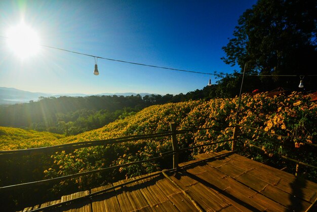 Foto vista panorâmica da paisagem contra o céu claro