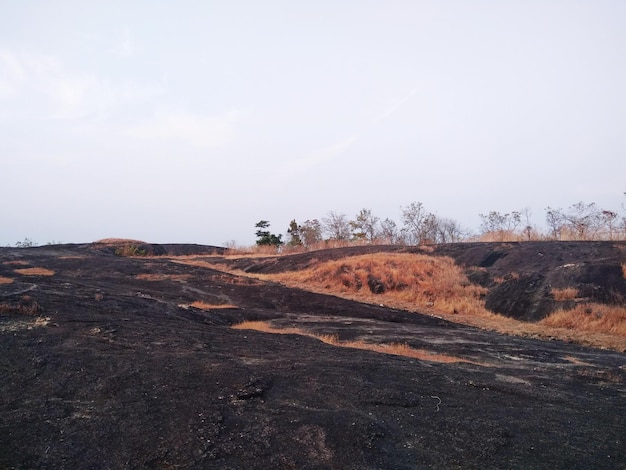 Vista panorâmica da paisagem contra o céu claro