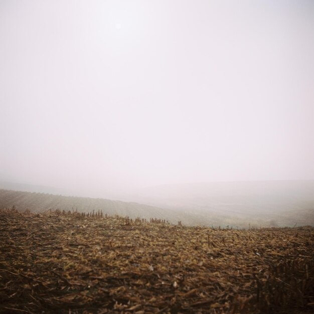 Foto vista panorâmica da paisagem contra o céu claro