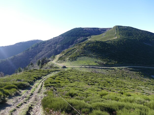 Vista panorâmica da paisagem contra o céu claro