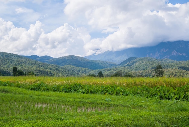 Vista panorâmica da paisagem contra o céu nublado