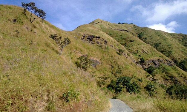 Foto vista panorâmica da paisagem contra o céu nublado