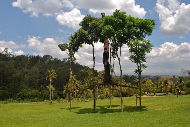 Foto vista panorâmica da paisagem contra o céu nublado