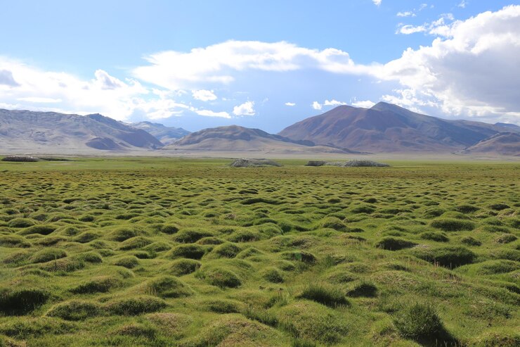 Foto vista panorâmica da paisagem contra o céu