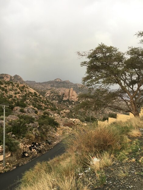 Foto vista panorâmica da paisagem contra o céu