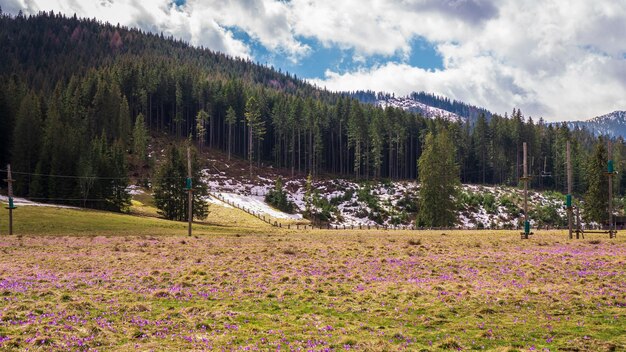 Vista panorâmica da paisagem contra o céu