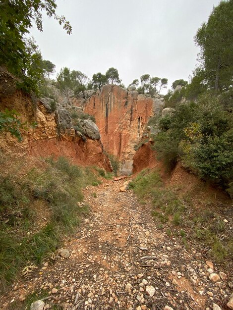 Foto vista panorâmica da paisagem contra o céu