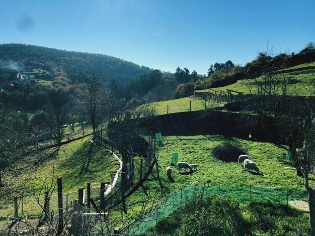 Foto vista panorâmica da paisagem contra o céu