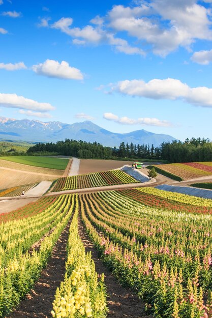 Vista panorâmica da paisagem contra o céu
