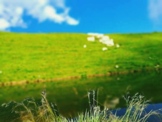 Vista panorâmica da paisagem contra o céu