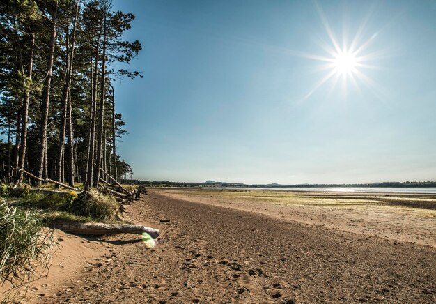 Foto vista panorâmica da paisagem contra o sol brilhante